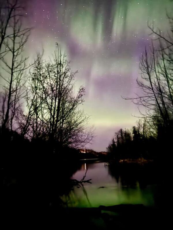 Anchorage: Starlight Snowshoe Adventure with Transportation - Key Points