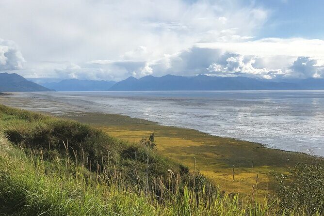 Anchorage to Seward Direct Transfer Tour - Who Should Consider This Transfer?