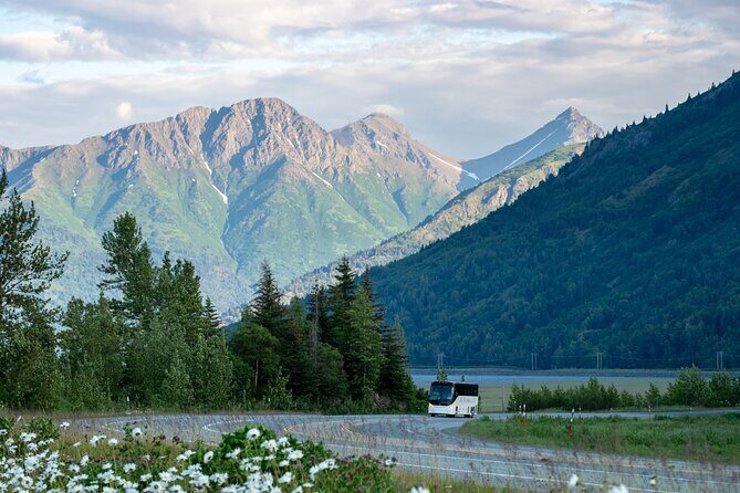 Anchorage to Whittier Direct Transfer Tour - The Experience in Detail