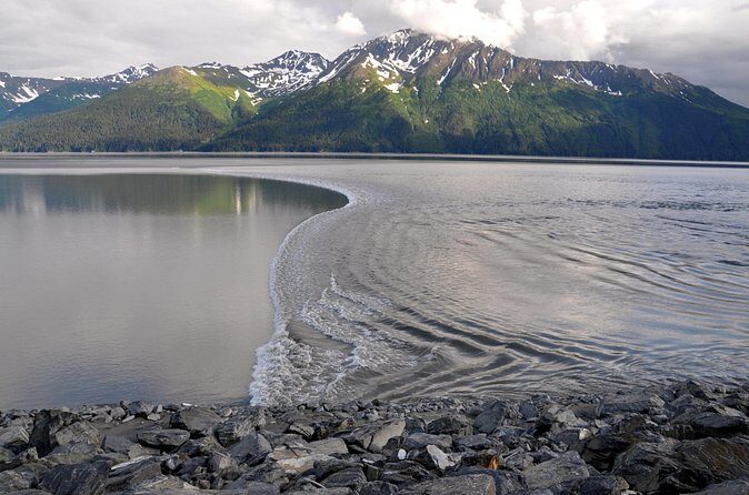 Anchorage to Whittier Direct Transfer Tour - Frequently Asked Questions