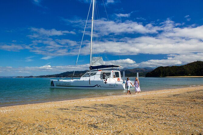 Anchorage Walk and Sail - Price & Value: Is It Worth It?