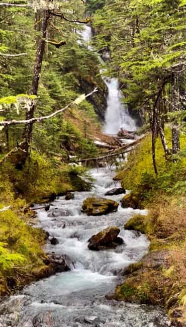 Anchorage: Wildlife, Glacier, and Wine Tasting Tour - Glacial Views at Portage Lake