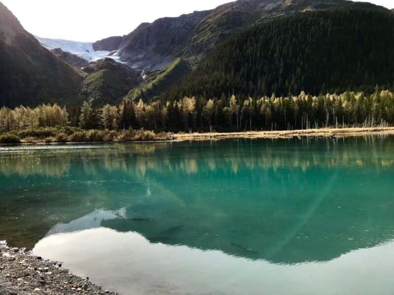 Anchorage: Wildlife, Glacier, and Wine Tasting Tour - Final Thoughts