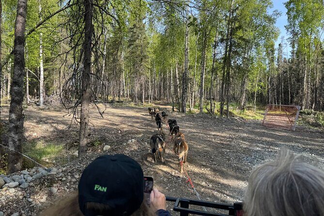 Anchorage's Authentic Dog Sledding Experience - The Sum Up: Is It Worth It?