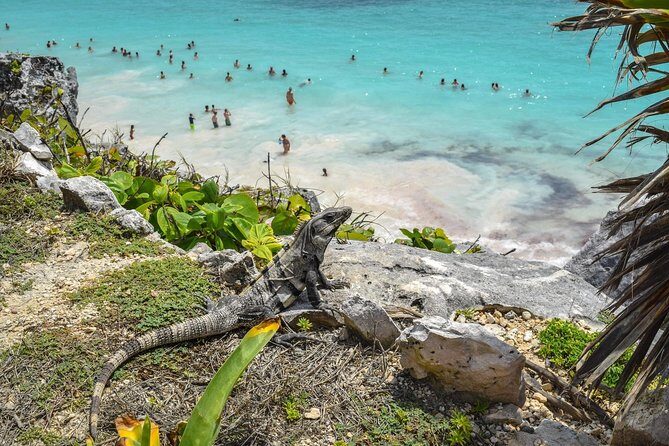 Ancient adventure, visit Tulum Ruins with ZIPLINES, a UNDERGROUND CENOTE &Buffet - A Closer Look at the Tour