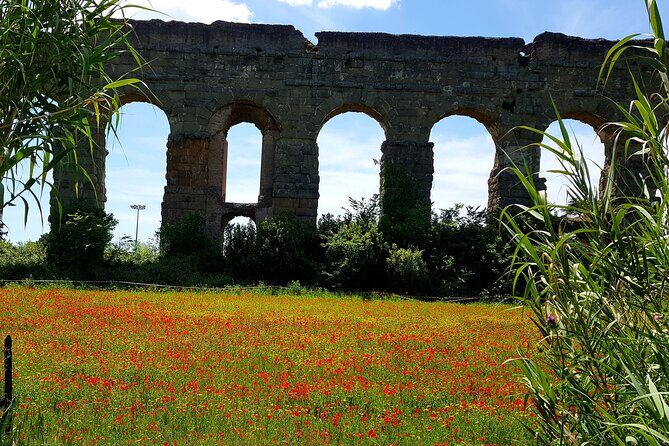 Ancient Appian Way and Roman Countryside E-Bike Tour - An In-Depth Look at the Tour
