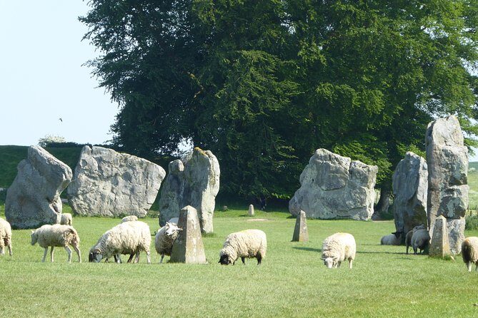 Ancient Britain Tour - Private Day Trip from Bath - The Value in the Price