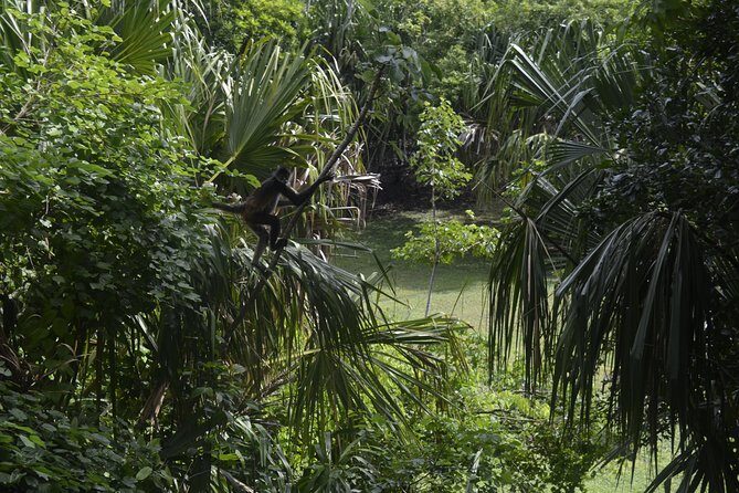 Ancient Chacchoben Mayan Ruins Tour from Costa Maya - Who Will Love This Tour?