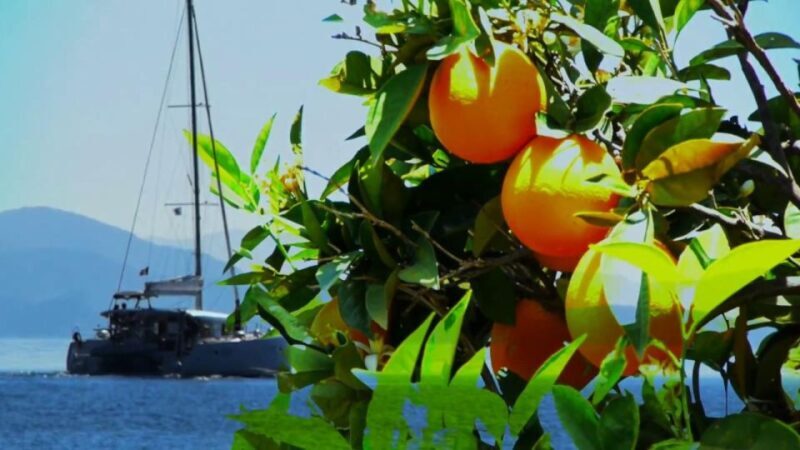 Ancient Corinth, Mycenae & snorkelling in sunken city - A Deep Dive into the Tour Experience