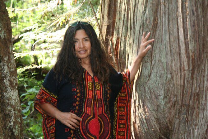 Ancient Forest , Waterfalls and Stunning Vistas Day Tour - Practical Details and What to Expect