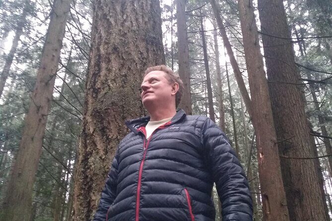 Ancient Forest , Waterfalls and Stunning Vistas Day Tour - FAQs