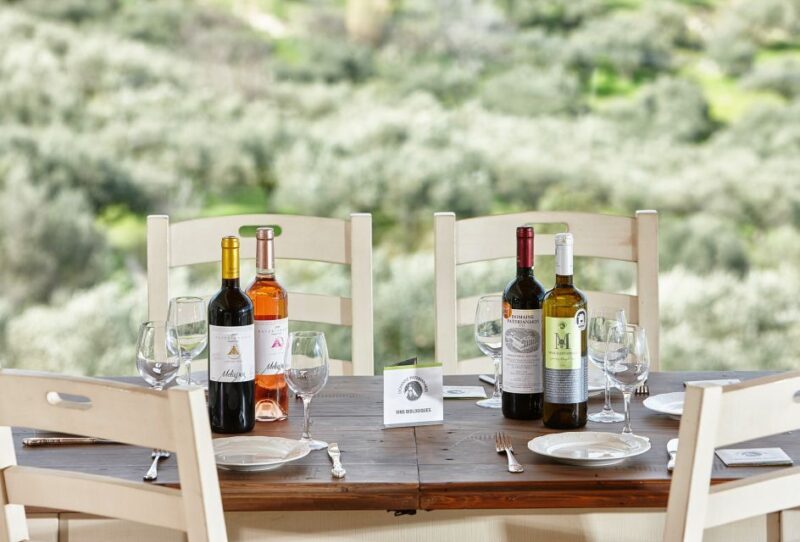 Ancient Knossos & Magical Crete: Private Shore Excursion - Final Thoughts