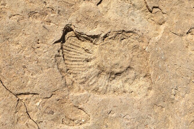 Ancient Landscapes Private Geology Hike at Garden of the Gods - Who Is This Tour Best For?
