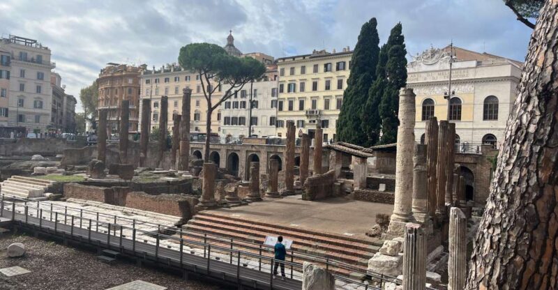 Ancient Rome: Archeological area Largo Argentina - What to Expect at Largo di Torre Argentina
