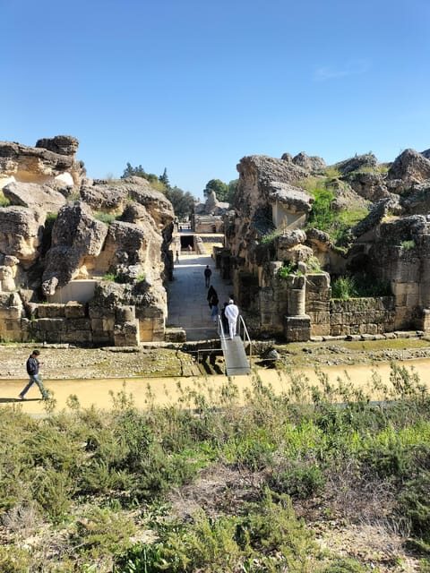 Ancient Rome in Seville: Exclusive Italica Guided Tour - Who Is This Tour Best For?