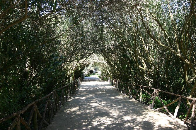 Ancient Syracuse: private guided tour of the Neapolis archaeological park - Considering the Admission Fees
