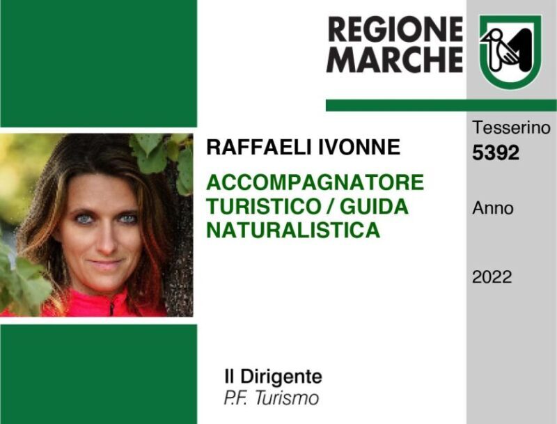 Ancona: Urban Trek Tour with Wine and Food Tasting - Discovering Ancona: What You Can Expect