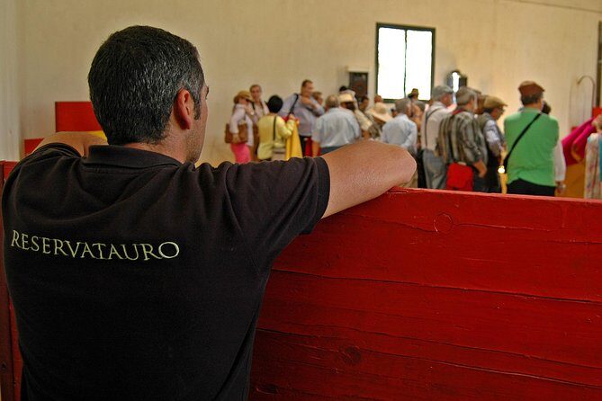 Andalucia Bull and Horse Farm and Ronda Private Tour from Malaga - An Honest Look at the Andalucia Bull and Horse Farm and Ronda Tour