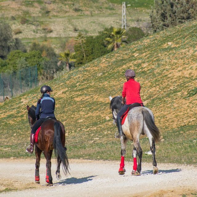 Andalucia: Horse Riding Tour with Picnic - Key Points