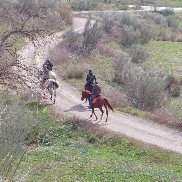 Andalucia: Horse Riding Tour with Picnic - A Closer Look at the Andalusian Horse Riding Tour