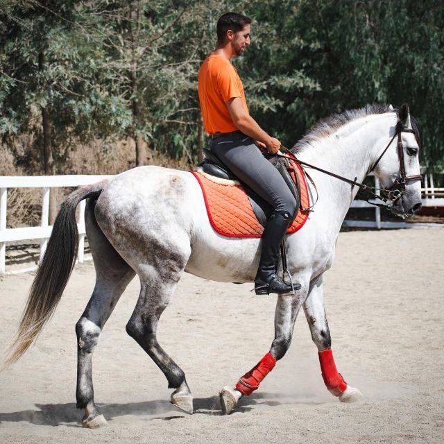 Andalucia: Horse Riding Tour with Picnic - Frequently Asked Questions