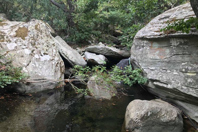 Andros half-day sightseeing tour - What’s Included and What’s Not