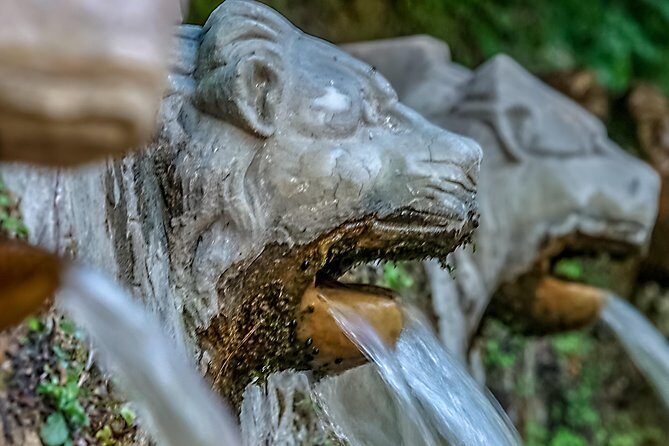 Andros half-day sightseeing tour - Frequently Asked Questions