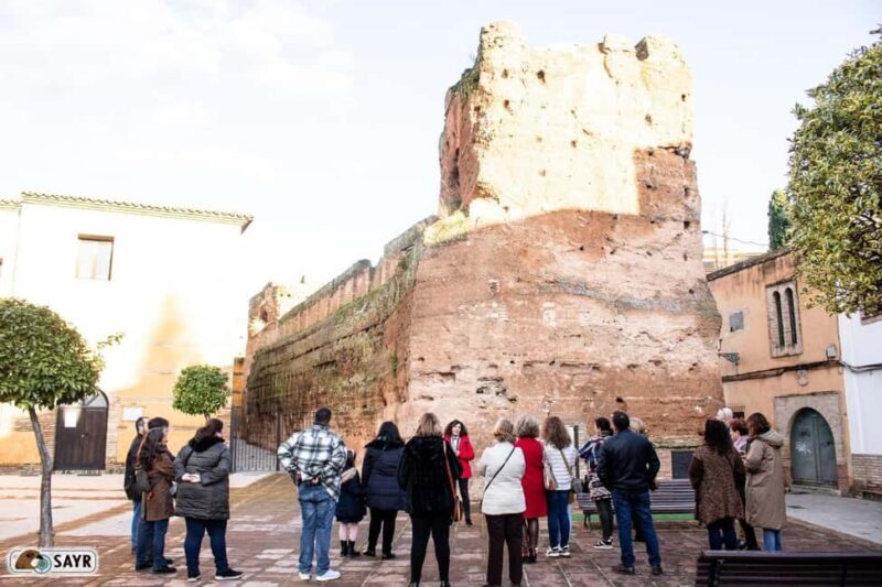 Andújar's Towers, Passages, and Dungeons Tour (Jaén) - Who Will Appreciate This Tour?