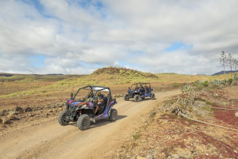 Anfi beach: Guided Buggy Tour. - Who Should Consider This Tour?