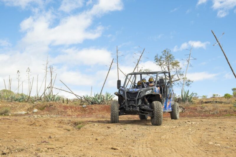 Anfi beach: Guided Buggy Tour. - FAQs