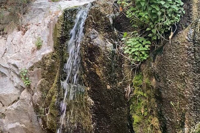 Angeles Forest Waterfall Hiking Tour - FAQ