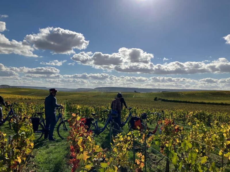 Angélique's electric bike tour in Champagne - The Practical Details: What You Need to Know