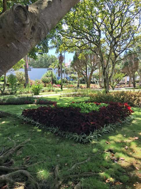 Angra do Heroísmo: A walking tour of the city - Why We Think This Tour Works