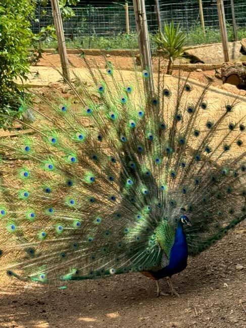 Animanatura Wild Sanctuary: A one-of-a-kind way to get to know animals - Final Thoughts