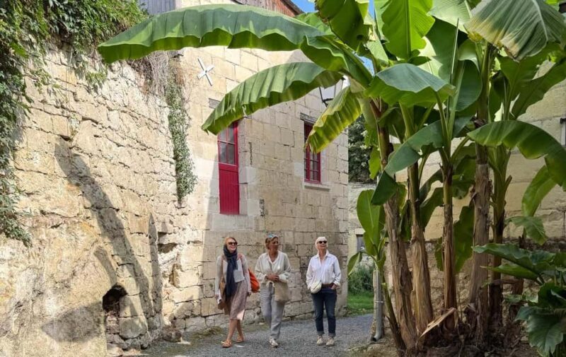 Anjou: Discovery by Vintage Car with a Local Guide - What the Tour Includes and How It Works