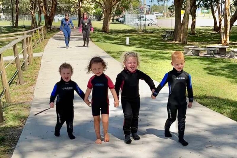 Anna Bay: Irukandji Entry with Zebra Shark Snorkel - The Educational and Conservation Angle