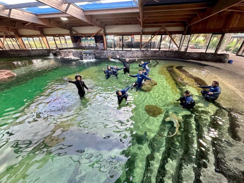 Anna Bay: Irukandji Entry with Zebra Shark Snorkel - FAQs