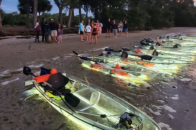 Anna Maria Island - Clear Kayak LED Night Glass Bottom Tour - Is It Worth the Price?