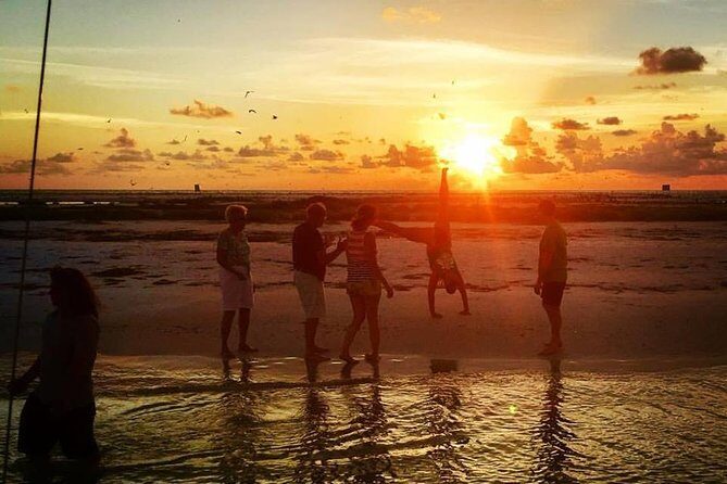 Anna Maria Island Dolphin Sunset Boat Tour - What to Expect on the Tour