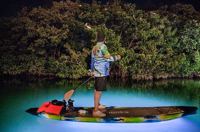 Anna Maria Island Paddleboard Tours - FAQ