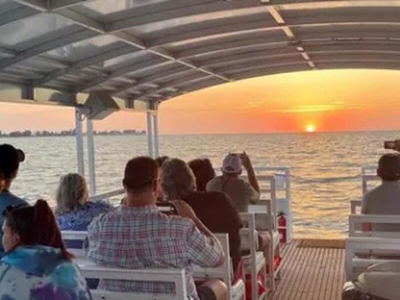 Anna Maria Island: Sunset Dolphin Cruise - Exploring the Experience in Detail