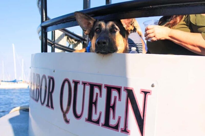 Annapolis: Annapolis Harbor and U.S. Naval Academy Cruise - Final Thoughts