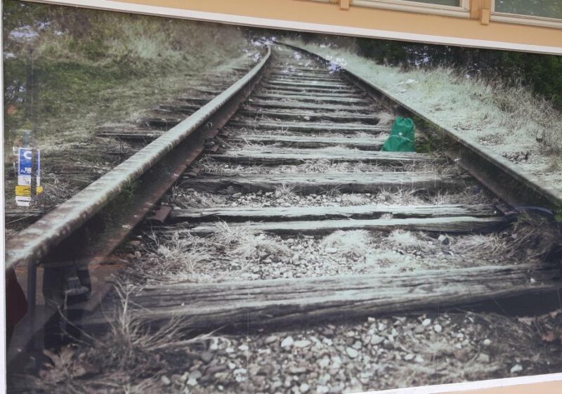 Anne Frank Story & Private 2-Hour Neighborhood Tour - Practical Details and Logistics