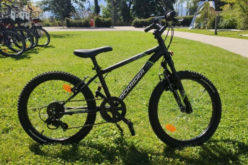 Annecy-le-Vieux, France: Electric and Muscle Bike Rentals - A Closer Look at the Bike Rental Experience