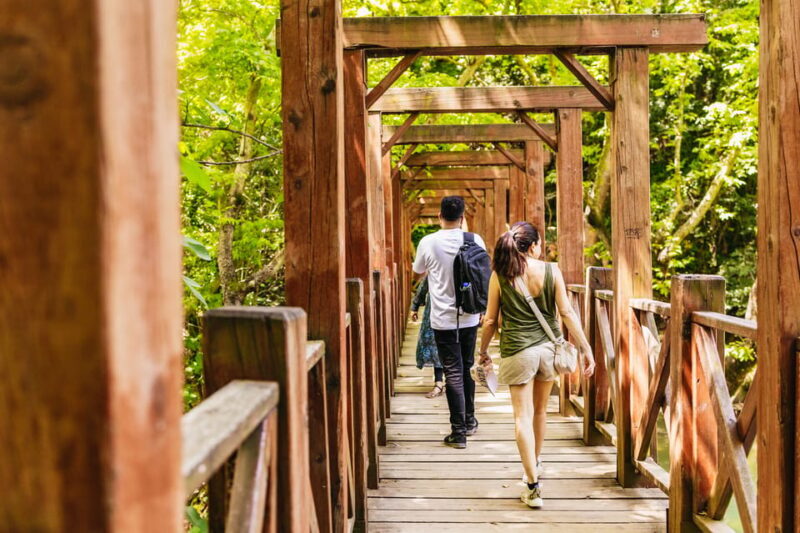 Antalya: Ancient Perge, Aspendos Theater & City of Side Tour - Who Is This Tour Perfect For?