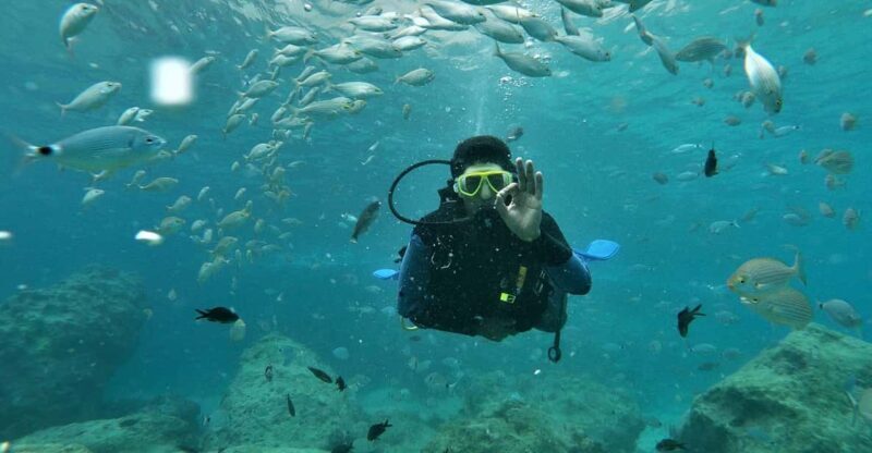 Antalya and Kemer: Full Day Scuba Diving Tour with Lunch - What to Expect from This Tour