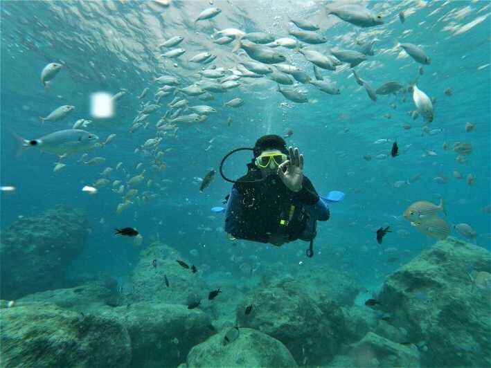 Antalya and Kemer: Full Day Scuba Diving Tour with Lunch - The Food and Overall Organization