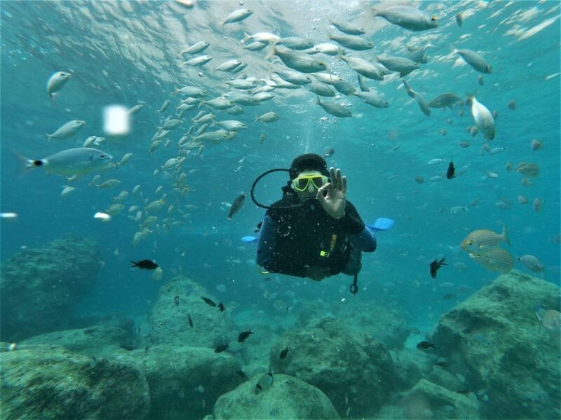 Antalya and Kemer: Full Day Scuba Diving Tour with Lunch - Final Thoughts: Who Is This Tour Best For?