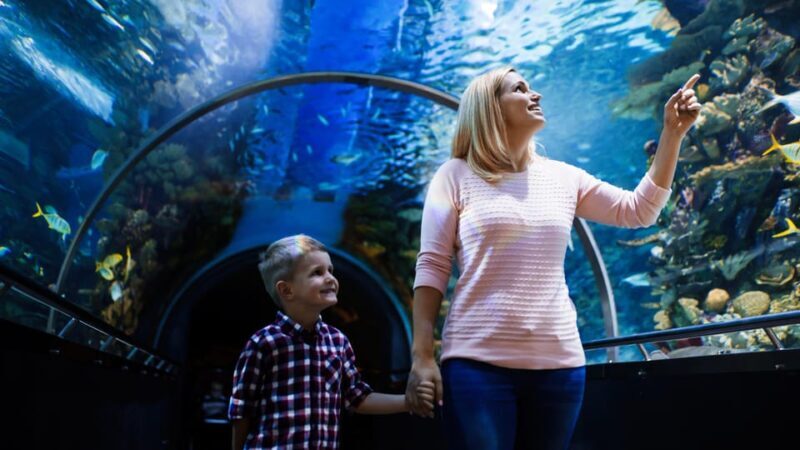 Antalya: Aquarium and Wax Museum Entry Ticket - Practical Tips for Visiting