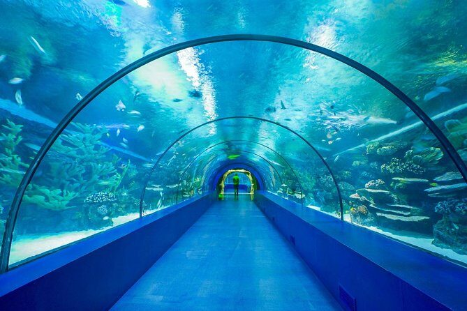 Antalya Aquarium Tour Platinium Tour - Who Would Love This Tour?